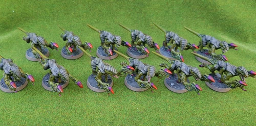 Tyranids Termagant Brood 12 x well painted plastic models Warhammer 40k  