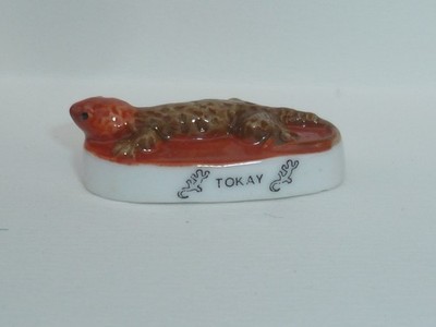 FEVE EIDECHSEN UND CAMELEONS, LE TOKAY