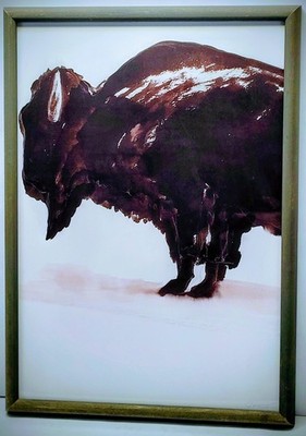 Bizon Painting By Zoe Bios Creative East. 2011 Original PAINT ART! 15''X21''
