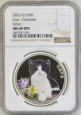 P.Silver Cat 銀猫 （OC） Vintage Silver Chrome Glaze Ceramic Cat Sculpture, 8