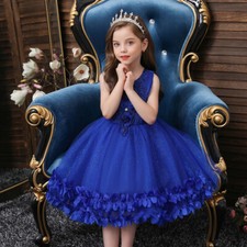 Flower Girl Princess Party Dress Kids Pageant Wedding Bridesmaid Prom Tutu Dress