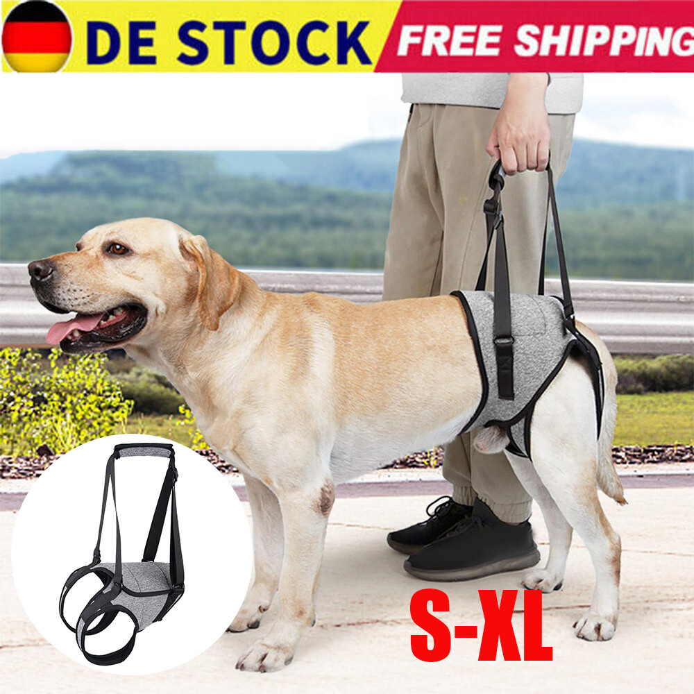 Gehhilfe Hund Hinten Rehahilfe Hebehilfe Tragehilfe Stützgeschirr Hilfsgeschirr：
