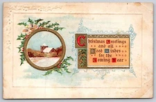 Christmas Greetings Embossed DB Postcard House Snow Holly 