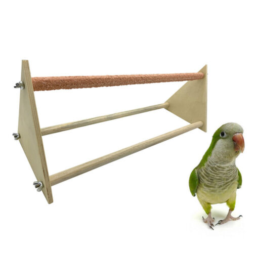 Chicken Toy Parrot Supplies Cage Stand Play Frosted Triangle - Picture 1 of 11