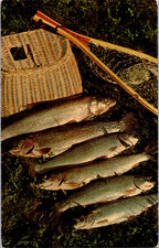 Vintage Postcard A Good Days Catch West Nyack New York Back