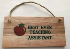 Plaque MDF Meilleur assistant d'enseignement jamais légèrement imparfaite vendue en l'état 6x3"