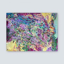 Original Gemälde Öl abstrakt bunt pink Unikat moderne Kunst handgemalt