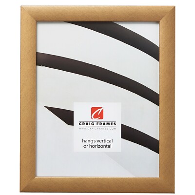 Craig Frames Contemporary 1 Inch Wide, Modern Distressed Gold Picture Frame