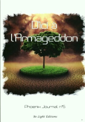 Buch bis nach Amageddon Ashtar Phoenix Tagebuch Nr. 5 Be Light Ausgaben 2016