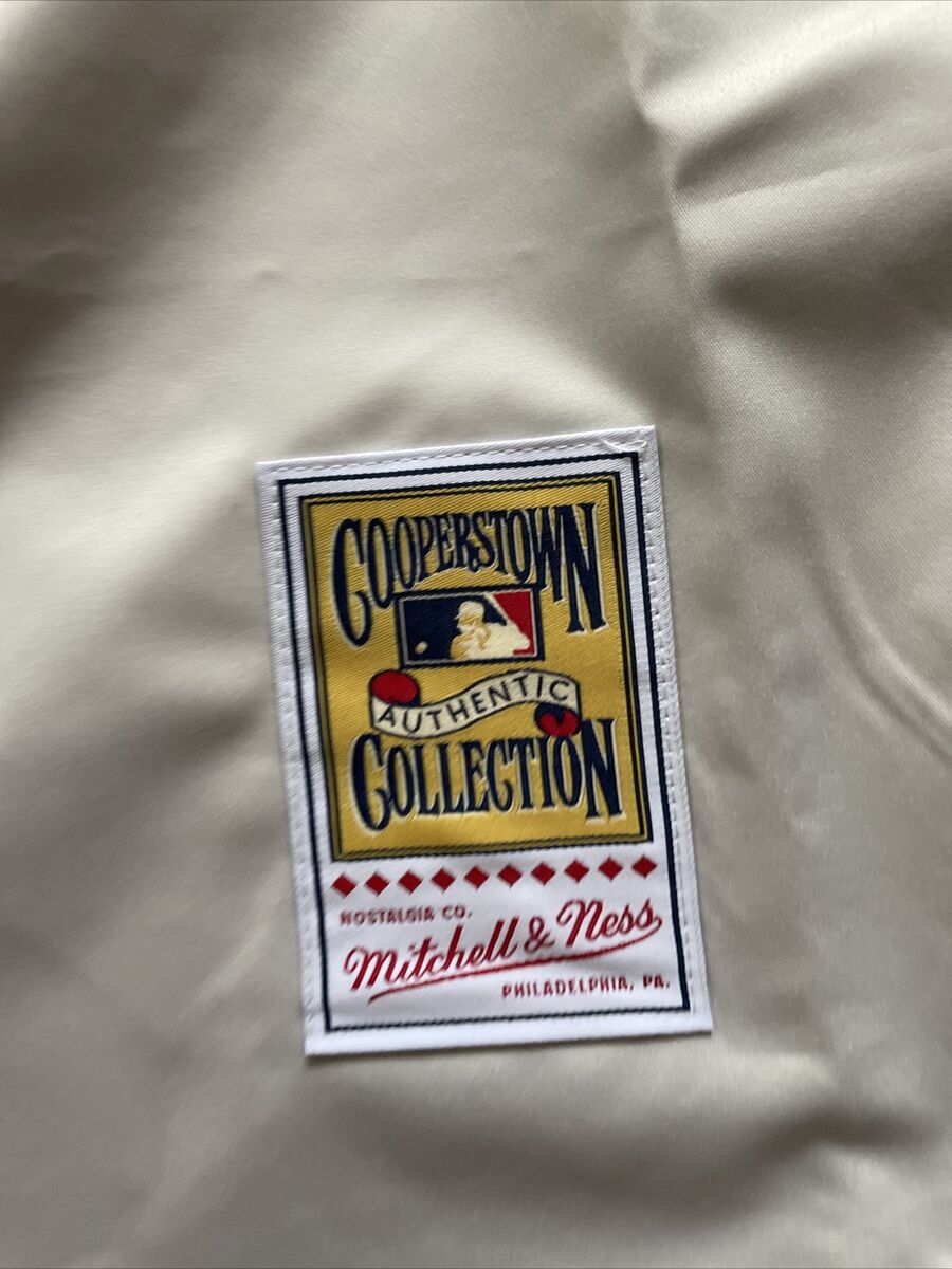 Mitchell & Ness Authentic Jackie Robinson Brooklyn Dodgers 1949 Jersey