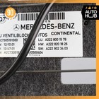 Bild 15 von 16