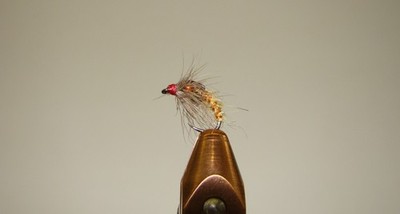 (5) Size#16 ''Holy Grail'' Metallic Red Bead & Red Head Caddis Nymph [A156]