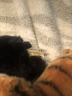Foto 4 di 6