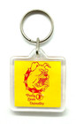 Vintage Ferris State University Bulldogs Big Rapids Michigan Keychain Keyring — photo 2