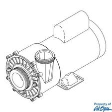 Pump 6 Bhp, 2 Speed, 56 Frame, 230 Volts, 60Hz