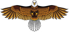 Bald Eagle Kite for Adults and Kids, Huge Kites Easy to Fly Single Line Kite for