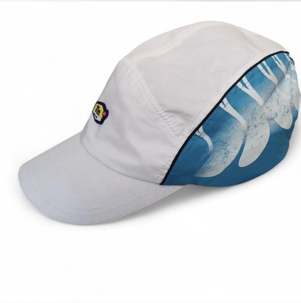 Nike Air Max Plus TN White Blue Vein Cap