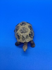 Schleich Giant Tortoise 14601 Retired 2008 Wildlife Animal Figure Handpainted