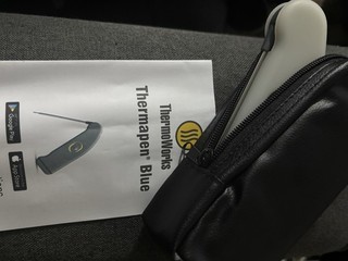 ThermoWorks Thermapen