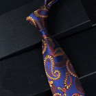 New Classic Paisley Blue Brown JACQUARD WOVEN 100% Silk Men's Necktie Tie
