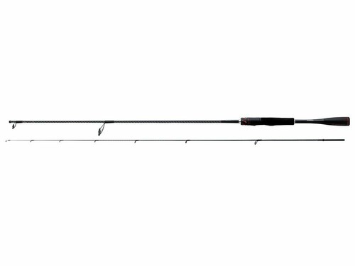 Canne Spinning Shimano Stradic Spinning Fast