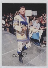 1998 Comic Images WWF Superstarz Jerry Lawler #70 9hx