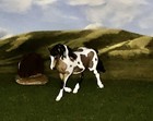 OOAK Like Breyer cm Custom Horse Micro Mini Model Resin Beautiful Buckskin Pinto — photo 2