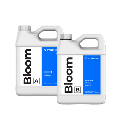 Athena Bloom A + B je 946 ml