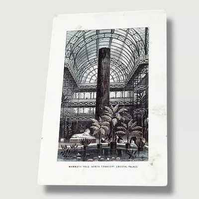 1867 Mammoth Tree North Transept Crystal Palace London England Adv Card JBX