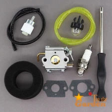 Carburetor Assembly for Walbro WT-682-1 WT-682 Repe MTD 753-04408 & Fuel Filter