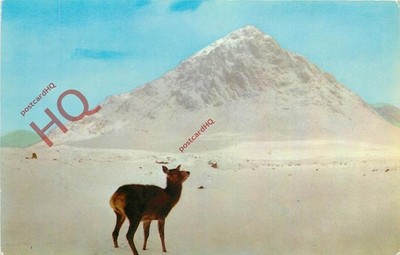 Ansichtskarte_ Glencoe, Buachaille Etive Mhor, ''Der große Hirte von Etive''