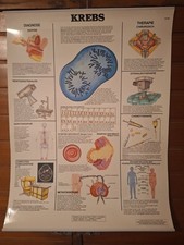 Medizinische Lehrtafel 7 Stk. Lehrmittel Anatomie Medizin 70x50 cm