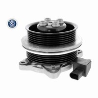 Vaico Wasserpumpe FüR Vw Golf V Vi Passat B5 Skoda Fabia Ii Seat Ibiza Iv 1.4I