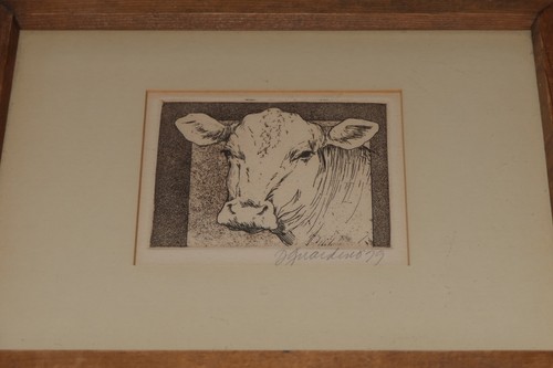 DONNA GUARDINO DRAWING OF A COW LITHOGRAPH SIGNED 1979 - Picture 3 of 6