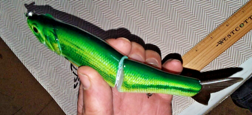 #C BASS CCL 6.5" 1.9 oz Jointed Sinking Minnow Glide Bait Swim Bait Fishing Lure - Picture 5 of 7