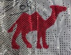 Bild 3 von 8