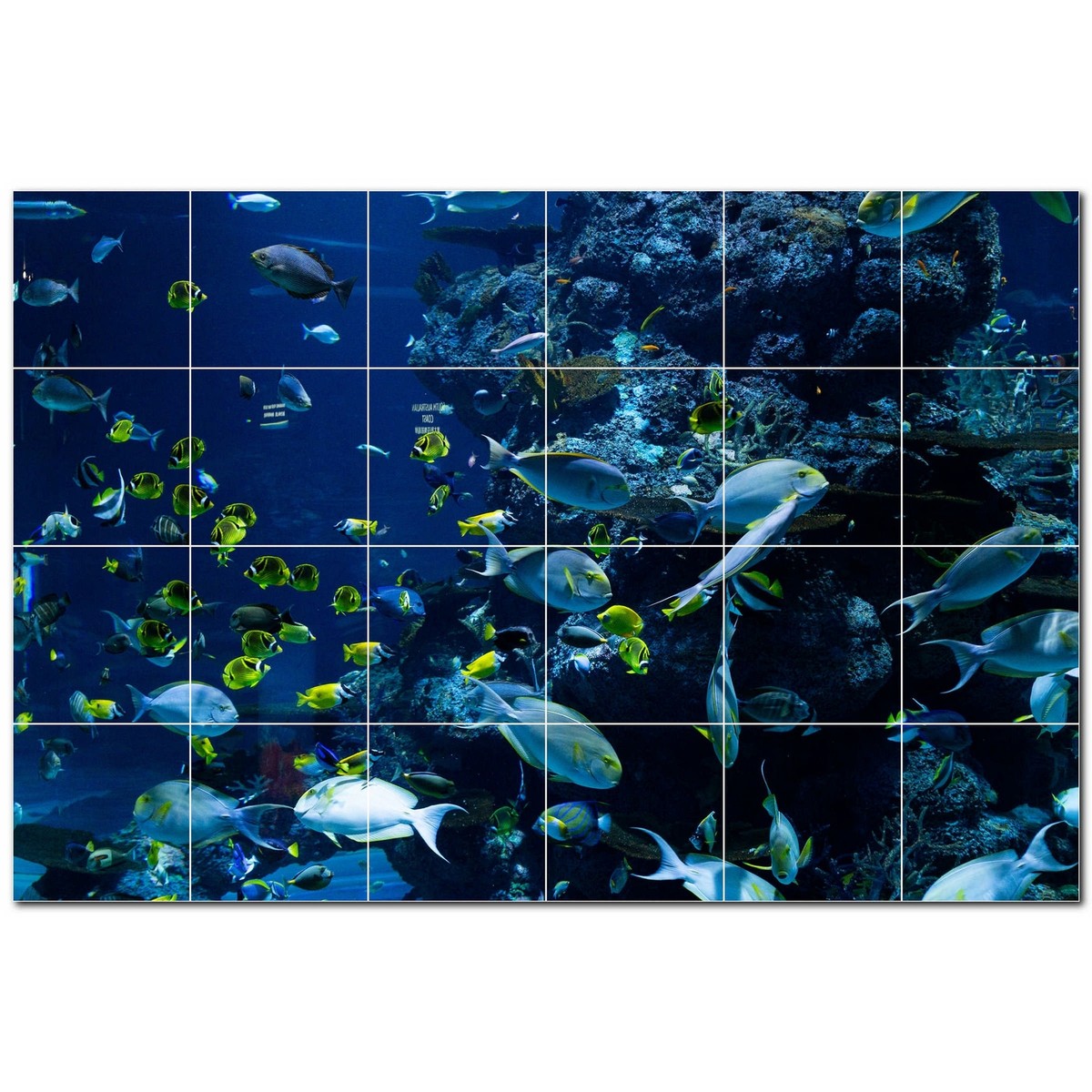 Coral Fish Underwater Ceramic Tile Mural Kitchen Backsplash Bathroom Shower, 403 Coral Fish Underwater Ceramic Tile Mural Kitchen Backsplash Bathroom Shower, 403