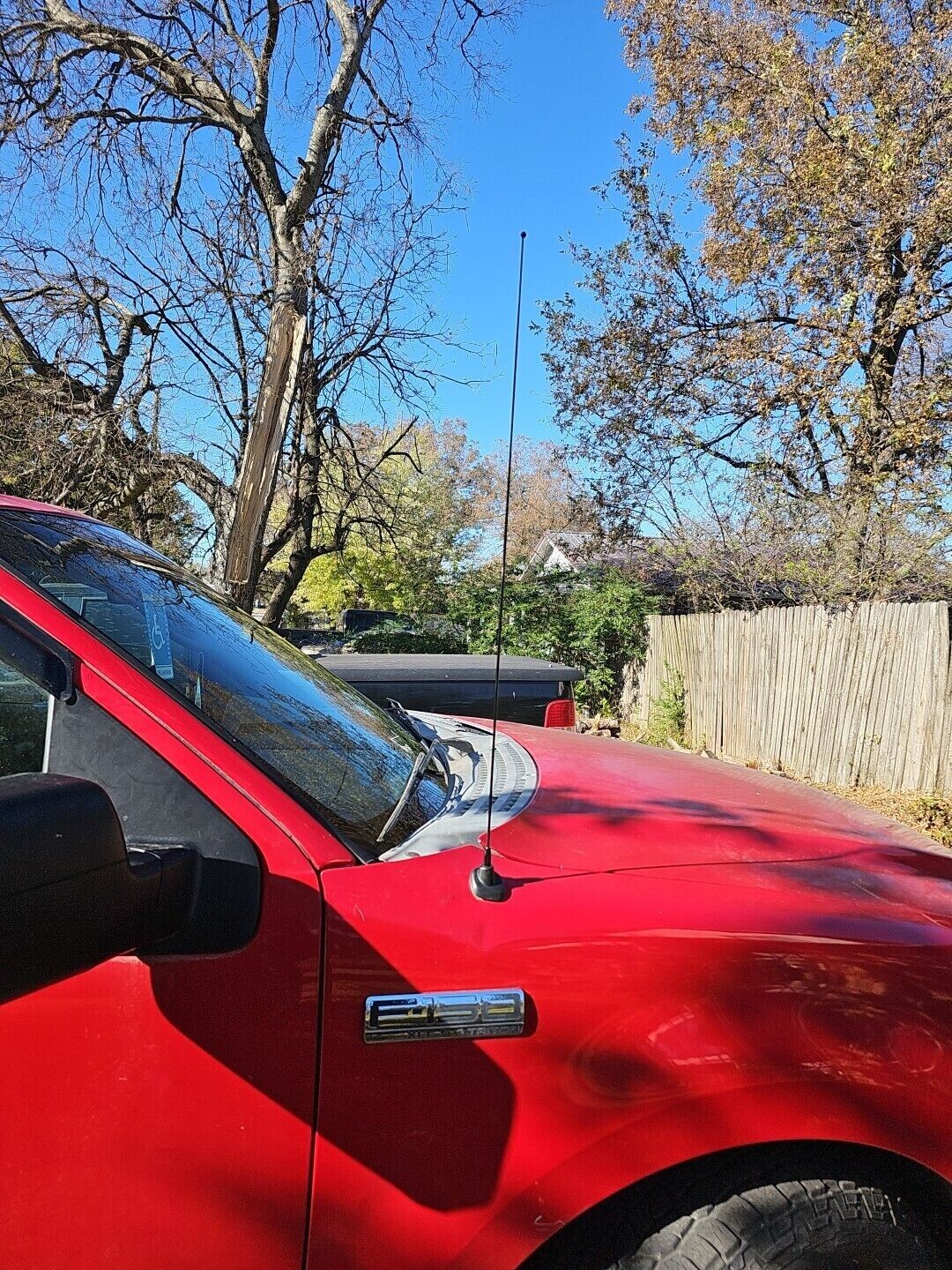 Picture 3 of 16