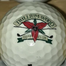 Trillium Wood Golf Club Logo Golf Ball (F-4-5) Collectible Ball