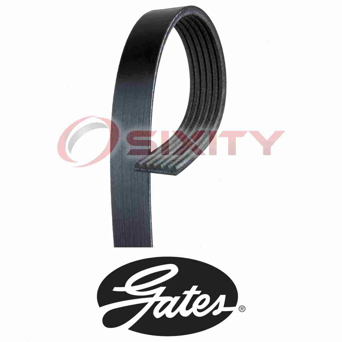 Serpentine belt 2005 honda odyssey cheap