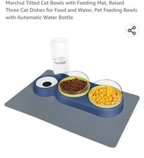 Cat Food Bowls