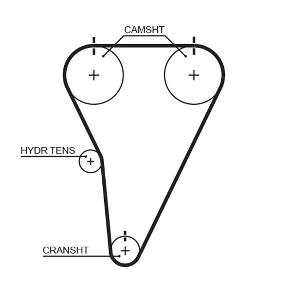 GATES-OE T215 Timing Belt for LEXUS,TOYOTA