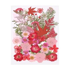 48 Pcs Dried Pressed Flower Leaves Bulk, Nature Dry Flowers for Pink Colors