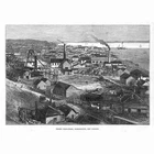 NEW ZEALAND The Thames Gold Fields at Grahamstown - Antique Print 1875