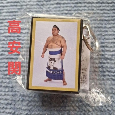 Takayasu Seki ungeöffneter Gacha Schlüsselanhänger Sumo Sammlerstück...