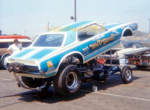 "Wild Breed" 1967 Mercury Cougar NITRO Funny Car PHOTO! #(4)
