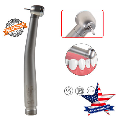 NSK PANA MAX Style Dental High Speed Handpiece Push Button Large Head 2Hole ADA2