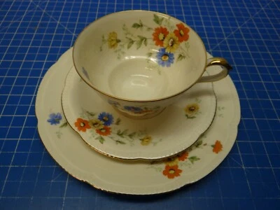 HUTSCHENREUTHER Service 813 12F Arzberg Tasse Untertasse Teller Blumen P-987 - Bild 1 von 4