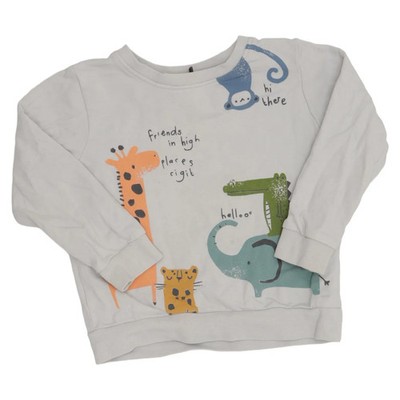 Cigit Concept, Sweatshirt, Größe: 98, Grau/Mehrfarbig, Print #q52