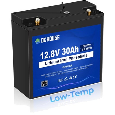 12V 30Ah Lithium Akku Deep Cycle BMS Schutz Solar Boot Wohnmobil Elektromobil
